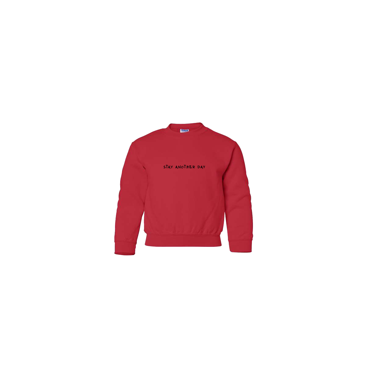 Stay Another Day Text Embroidered Red Youth Crewneck